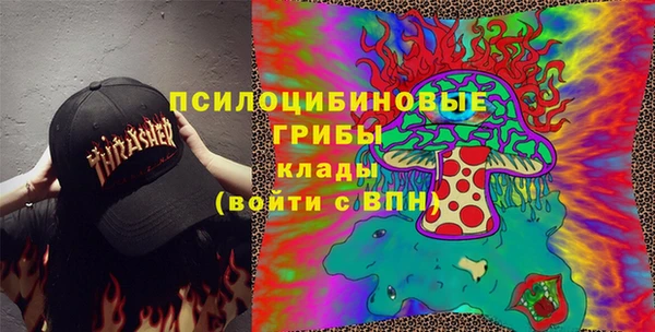 индика Алзамай