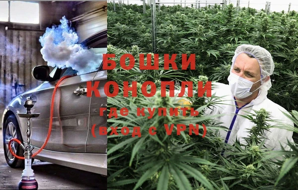 индика Алзамай