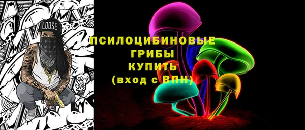 МДПВ Алексеевка