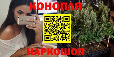 шишки Ипатово